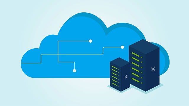 Tampa Web Hosting